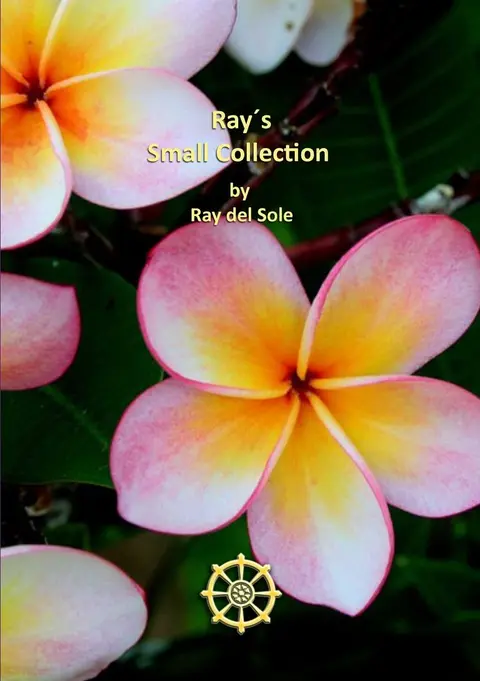 Cover of Ray's Small Collection