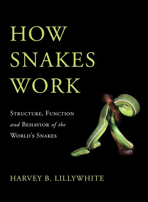 Cover of How Snakes Work