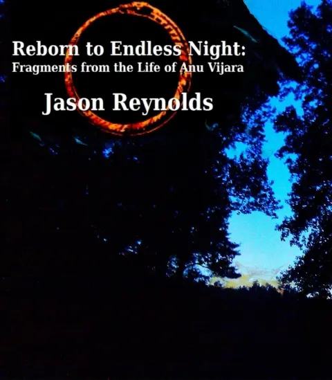 Cover of Reborn to Endless Night