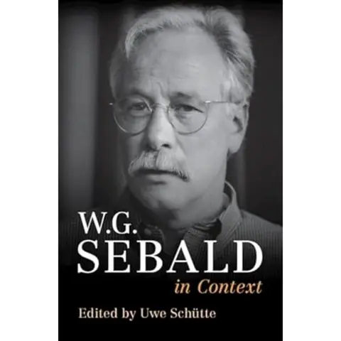 Cover of W. G. Sebald in Context