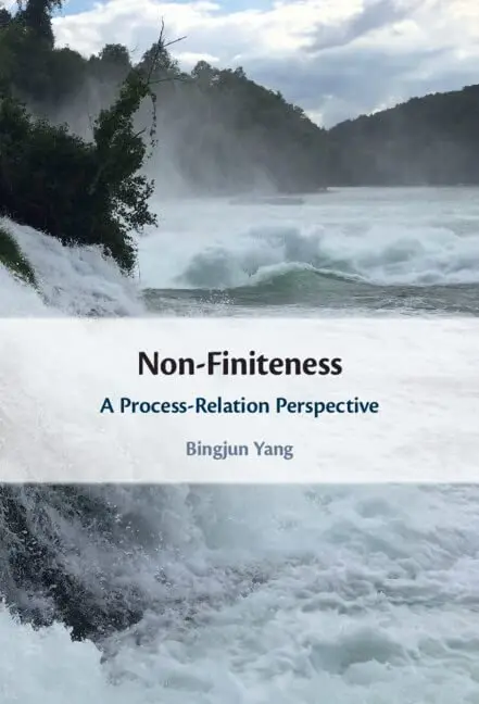 Cover of Non-Finiteness