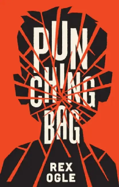 Cover of Punching Bag