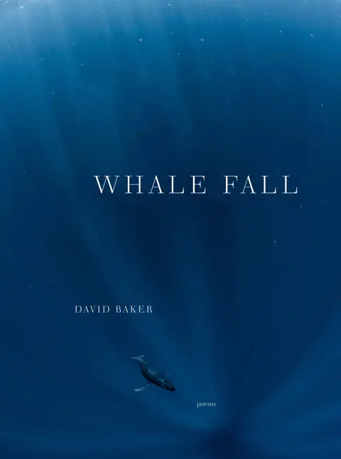 Cover of Whale Fall