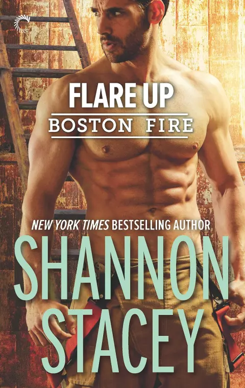 Cover of Flare up