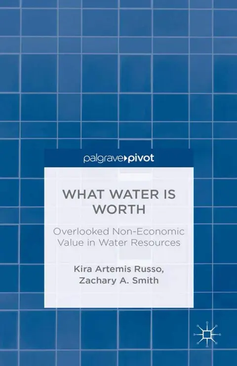 Cover of What Water Is Worth