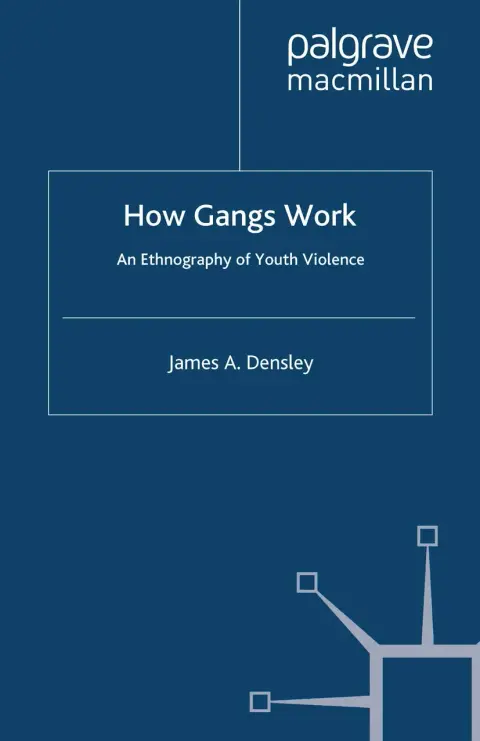 Cover of How Gangs Work