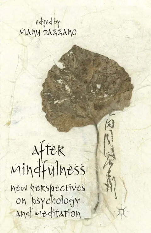 Cover of After Mindfulness