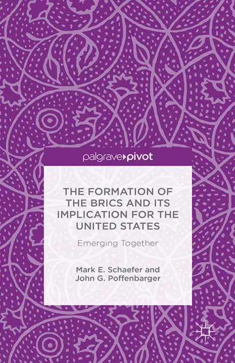 Cover of The Formation of the BRICS and its Implication for the United States