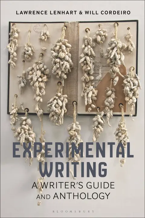 Cover of Experimental Writing