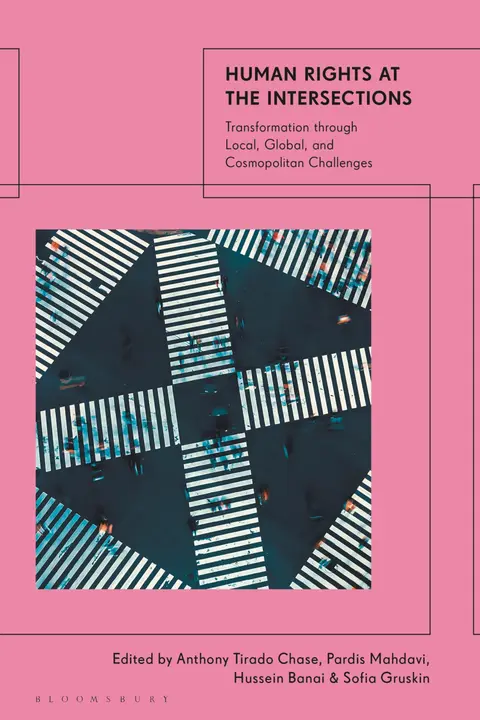 Cover of Human Rights at the Intersections