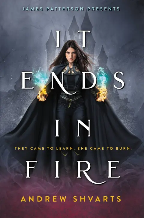 Cover of It Ends in Fire