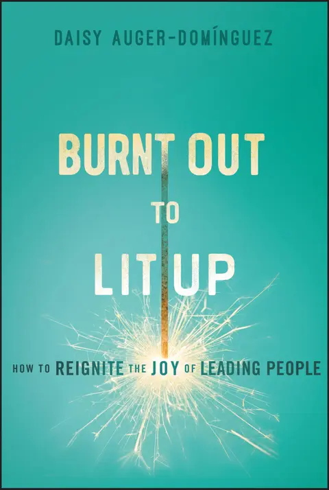 Cover of Burnt Out to Lit up