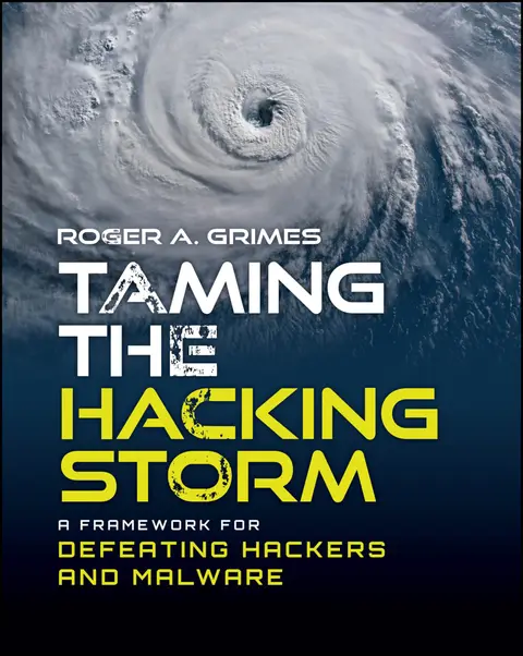 Cover of Taming the Hacking Storm