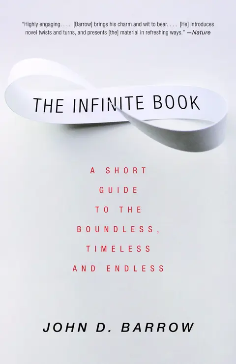 Cover of The Infinite Book
