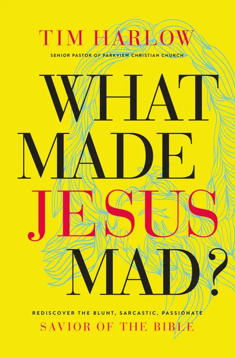Cover of What Made Jesus Mad?