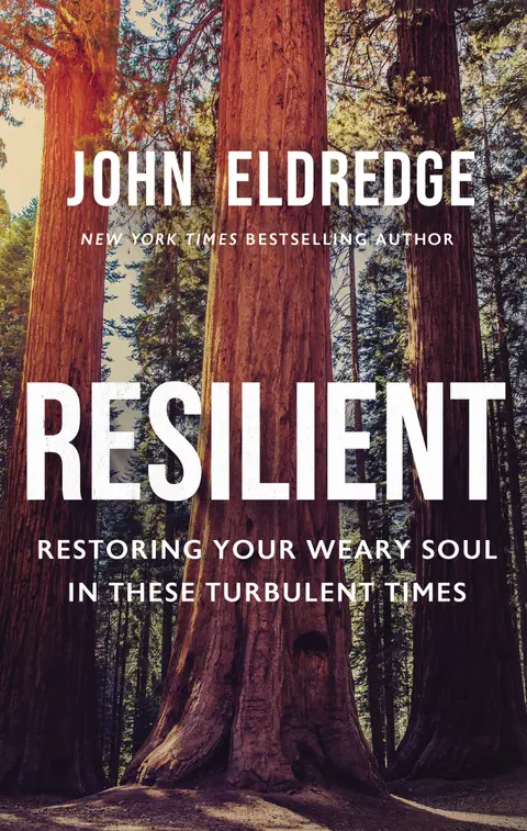 Cover of Resilient