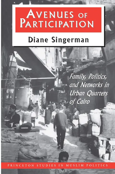 Cover of Avenues of Participation