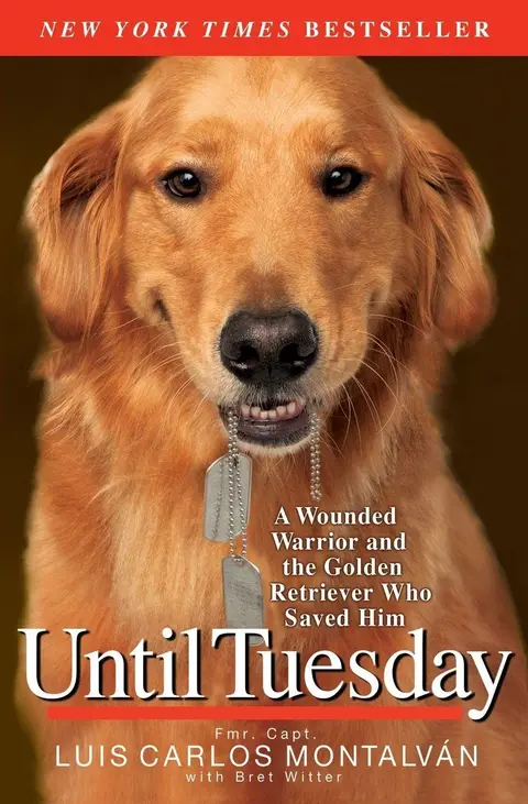 Cover of Until Tuesday