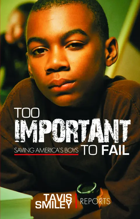 Cover of Too Important to Fail