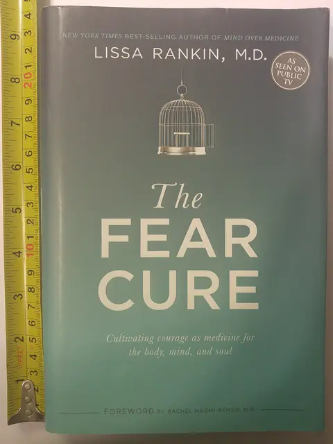 Cover of The Fear Cure