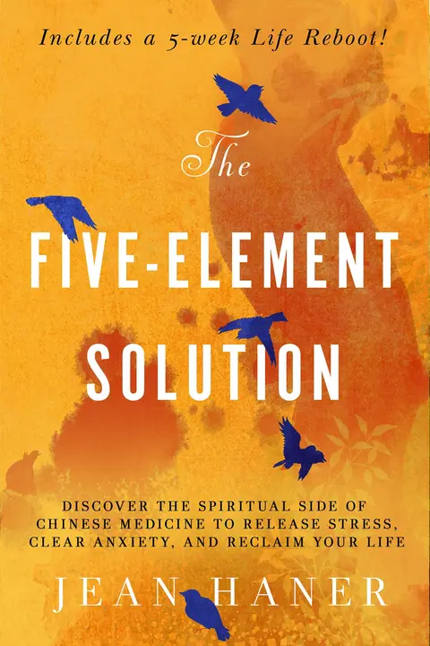 Cover of The Five-Element Solution