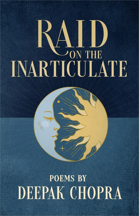Cover of Raid on the Inarticulate