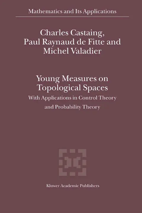 Cover of Young Measures on Topological Spaces