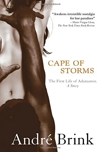 Cover of Cape of Storms