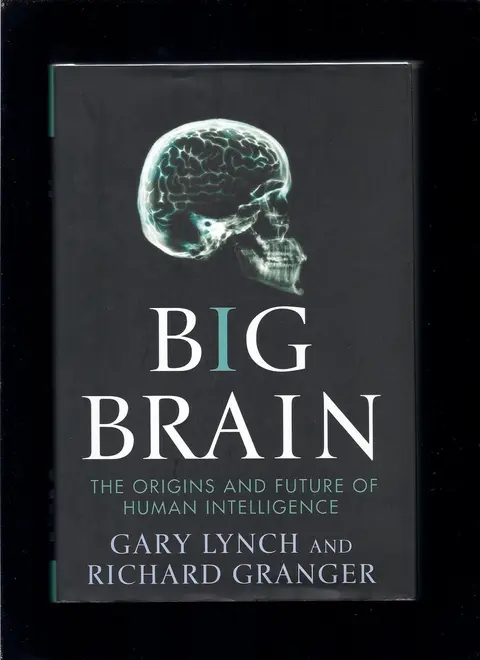 Cover of Big Brain