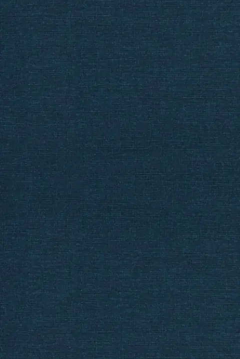 Cover of Esther Through the Centuries