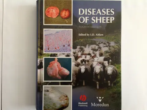 Cover of Diseases of Sheep
