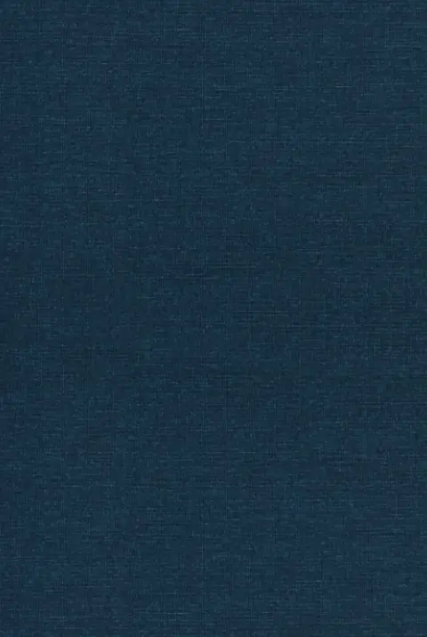 Cover of The Good Representative