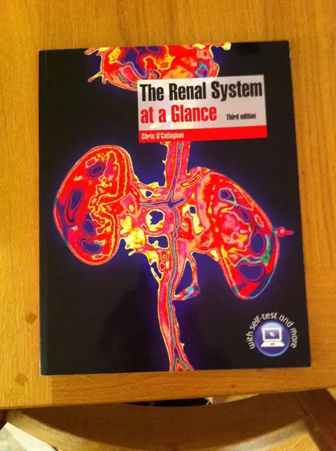 Cover of The Renal System at a Glance