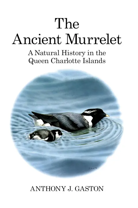 Cover of The Ancient Murrelet
