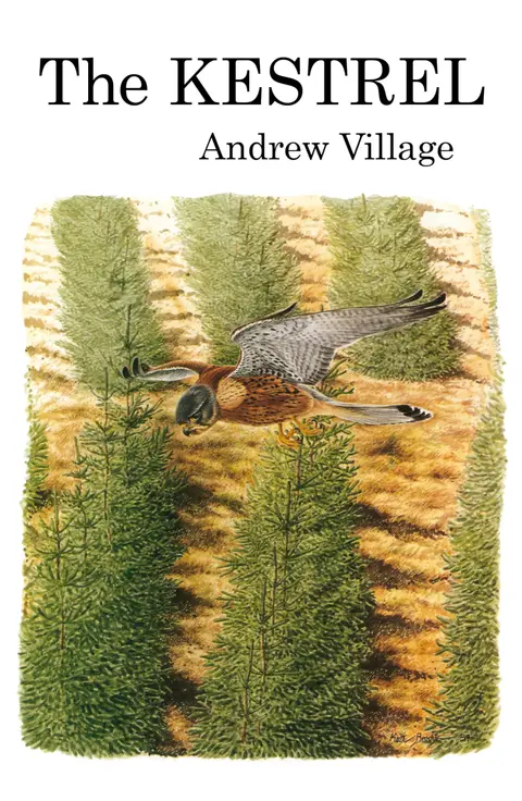 Cover of The Kestrel