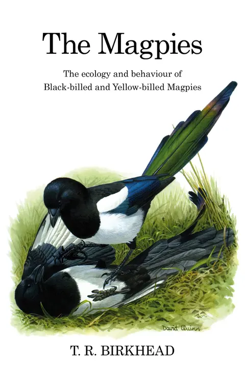 Cover of The Magpies