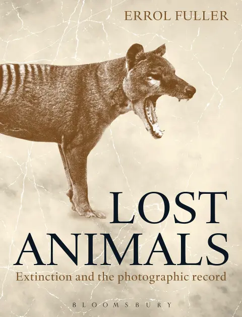 Cover of Lost Animals