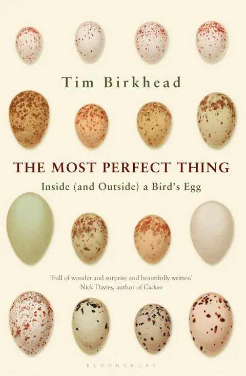 Cover of A Bird's Egg