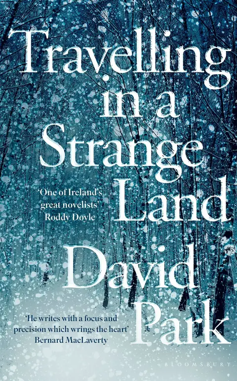 Cover of Travelling in a Strange Land