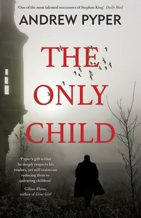 Cover of The Only Child