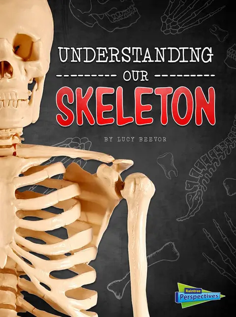 Cover of Understanding Our Skeleton