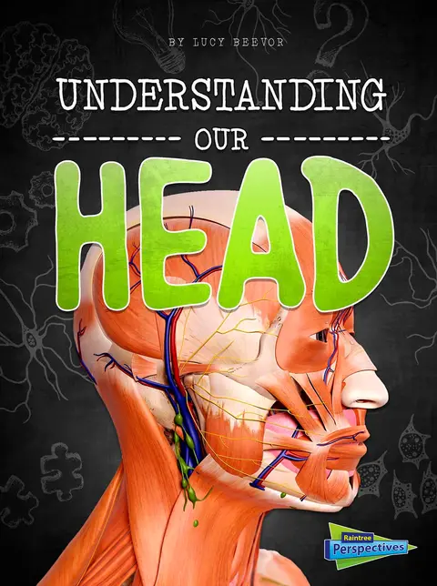 Cover of Understanding Our Head