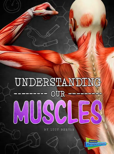 Cover of Understanding Our Muscles