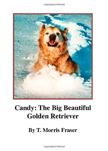 Cover of Candy