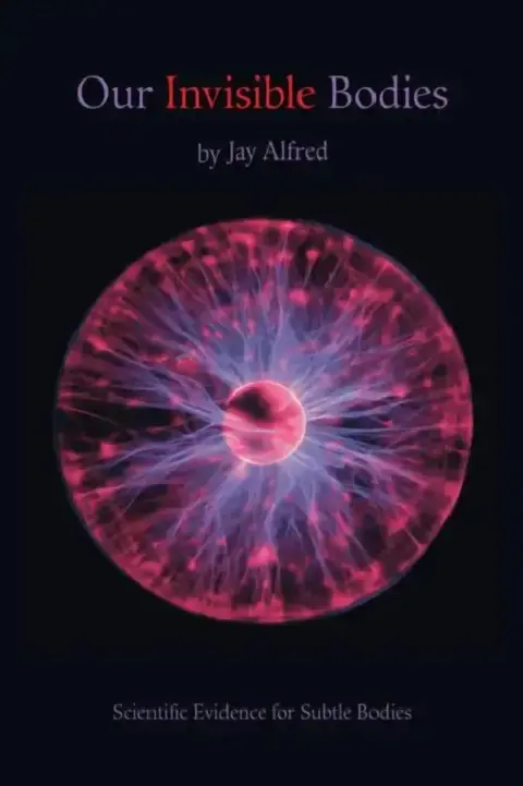 Cover of Our Invisible Bodies