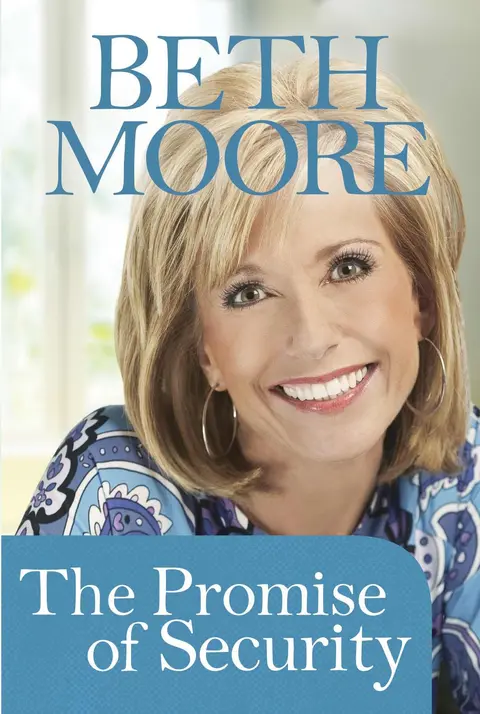 Cover of The Promise of Security