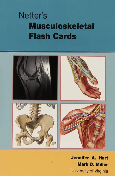 Cover of Netter's Musculoskeletal Flash Cards