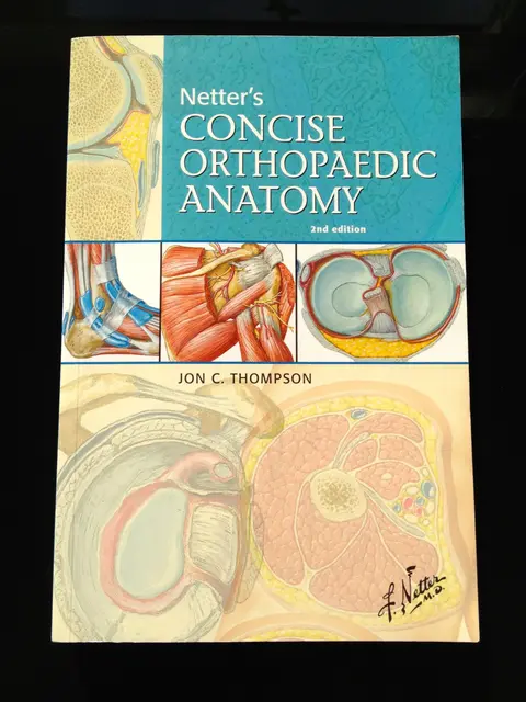 Cover of Netter's Concise Orthopaedic Anatomy