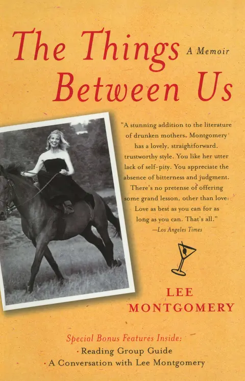 Cover of The Things Between Us