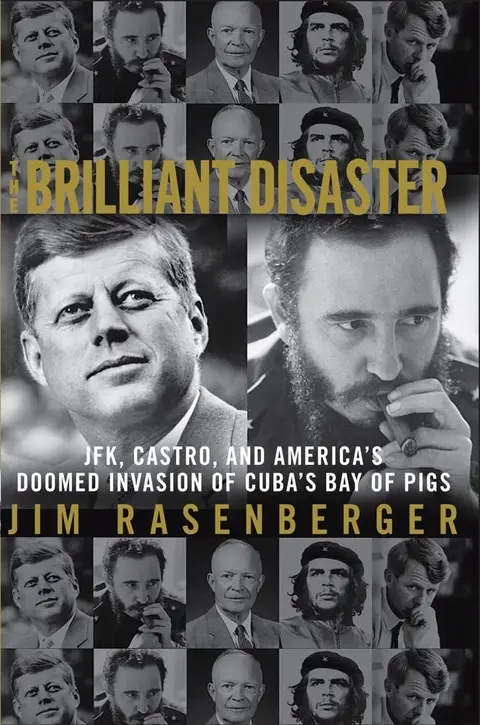 Cover of The Brilliant Disaster